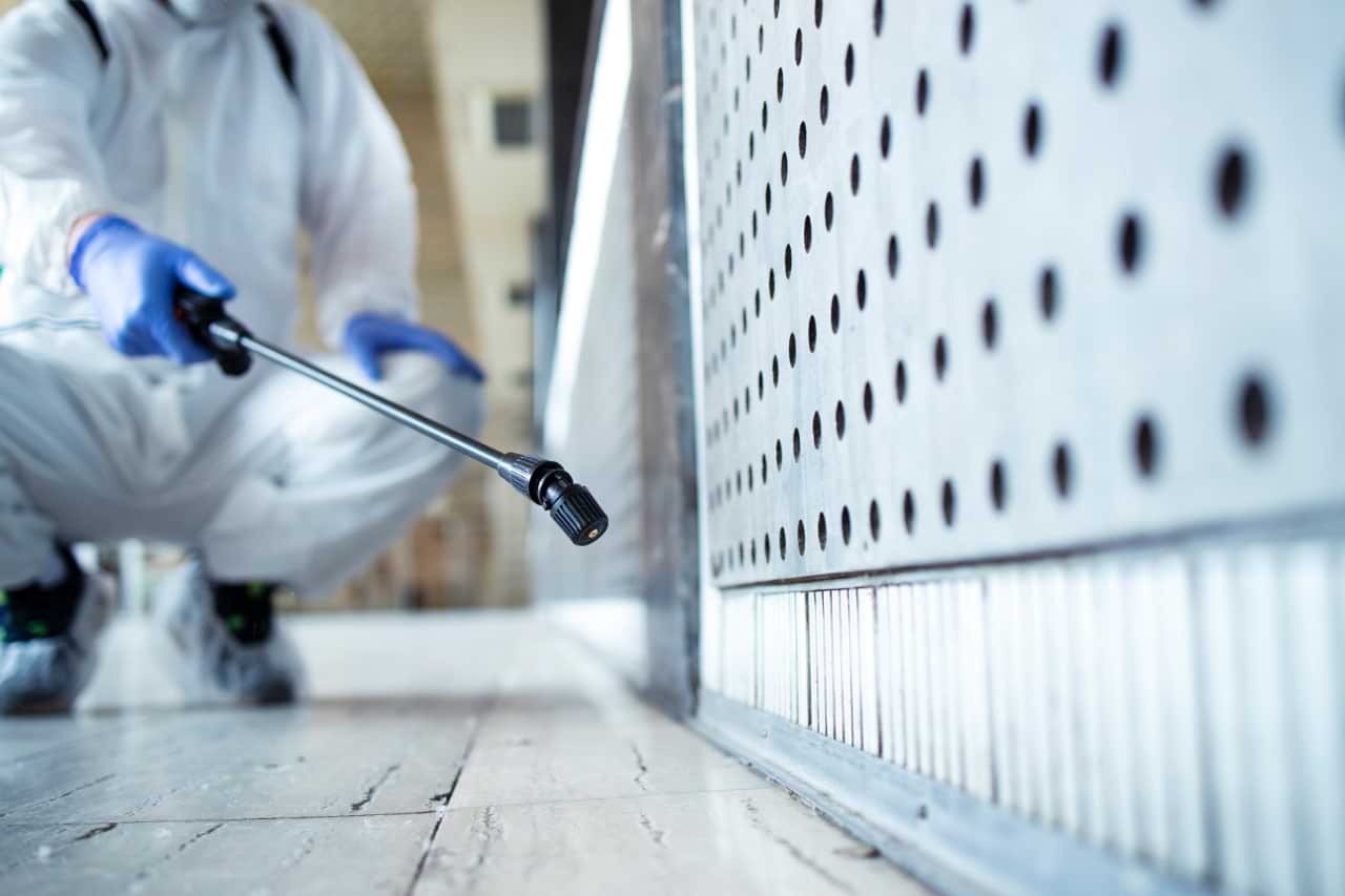 Mann in weißer Schutzkleidung besprüht Garage mit Chemikalien, um Schimmel zu entfernen